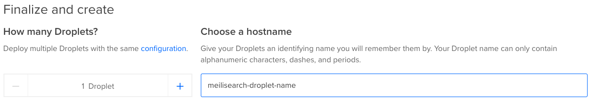 Adding 'meilisearch-droplet-name' as the hostname